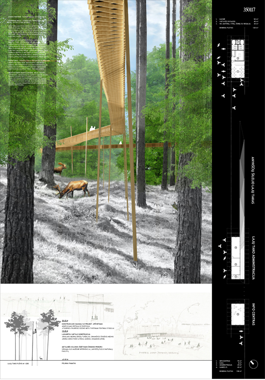 Medžių lajų tako Anykščiuose konkursas LAS architektų sąjunga